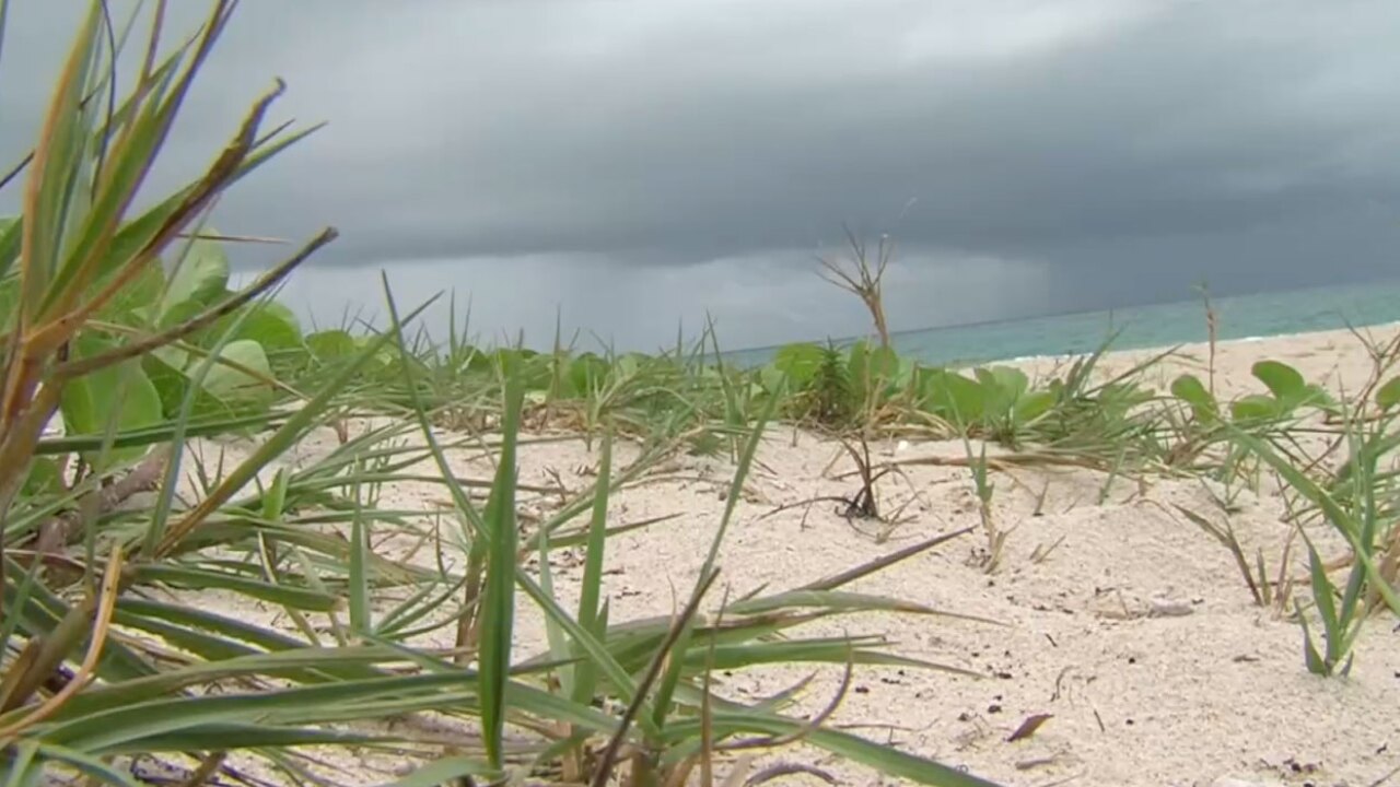 hurricane season 2026 prep guide